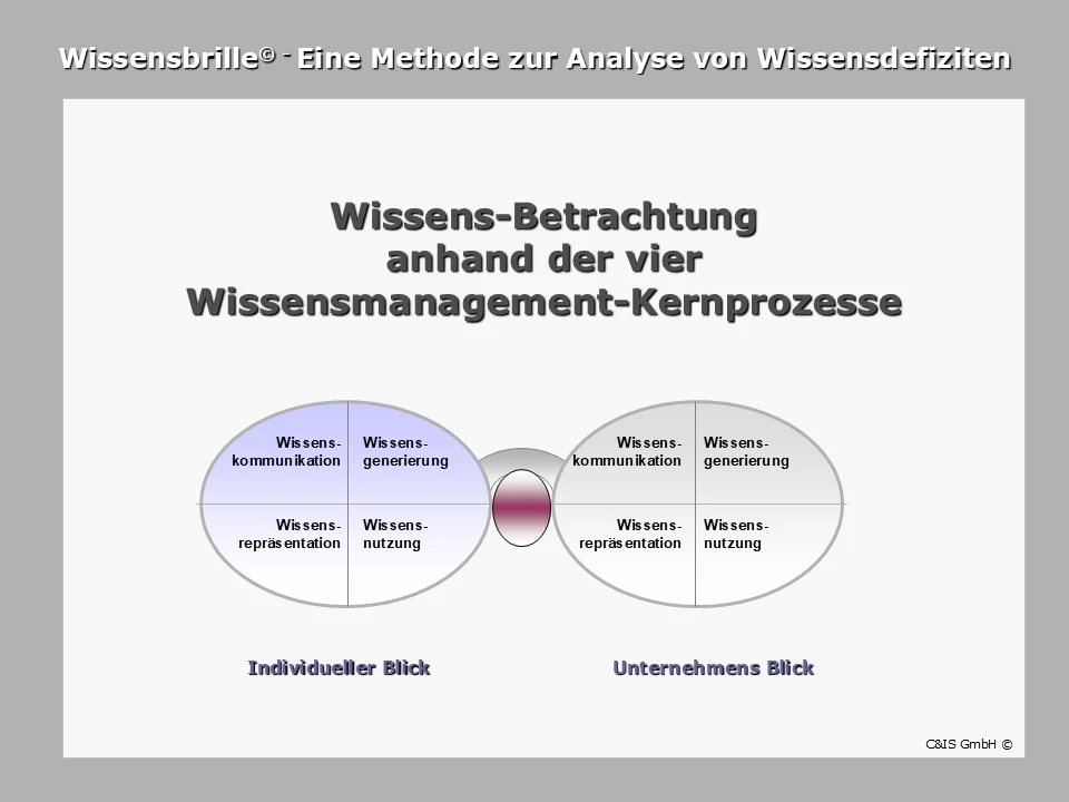 Wissensbrille: Wissen aus individueller und organisatorischer Perspektive betrachten